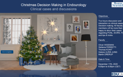 Christmas Decision Making in Endurology