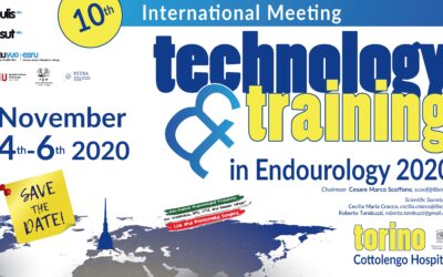 Technology and Training in Endurology 2020