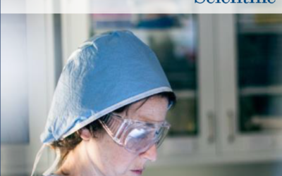 Decision Making in endourologia