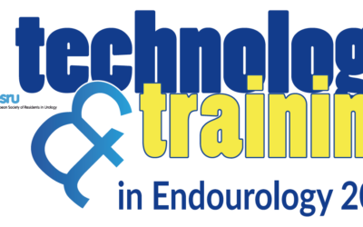 Technology and Training in Endurology 2019