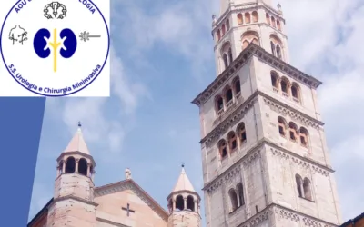 1°CORSO ENDUROLOGICO MODENESE “ECIRS E DINTORNI”