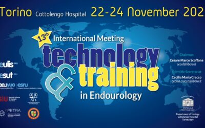 13th International Meeting “Technology & Training in Endourology”